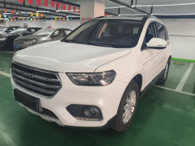 哈弗H6 2021款 运动版 1.5T 手动精英智联型 六边形格栅