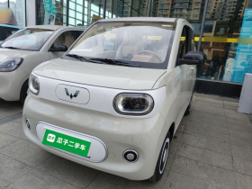 五菱汽车 宏光MINIEV 2024款 第三代 215km 青春版