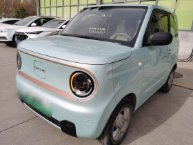 吉利银河 2024款 熊猫mini 200km 耐力熊