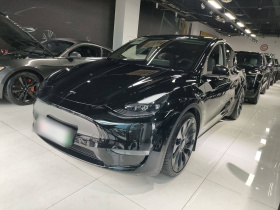 特斯拉 Model Y 2021款 Performance高性能全轮驱动版