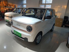 吉利银河 2024款 熊猫mini 200km 耐力熊