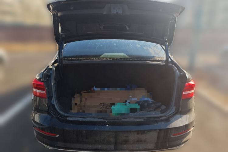 大众 朗逸 2019款 1.5L 自动视野版 国VI中控内饰23