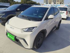 比亚迪 海鸥 2025款 305km 活力版