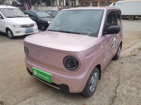 吉利银河 2023款 熊猫mini 200km 耐力熊