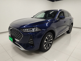 魏牌 摩卡 2021款 2.0T 两驱特醇版