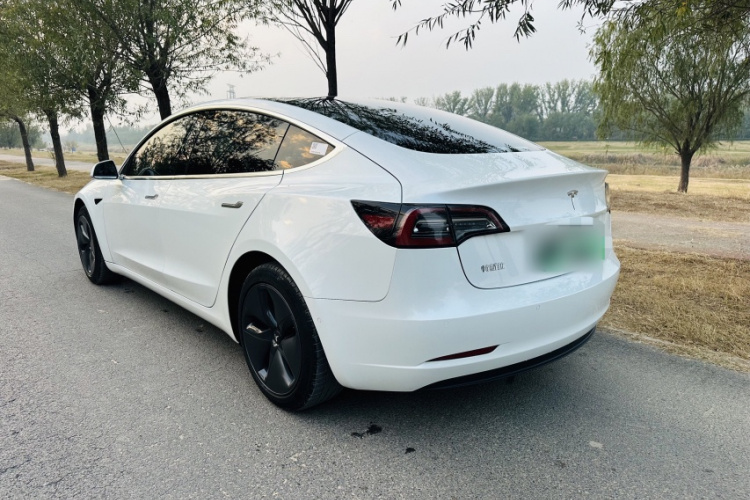 特斯拉 Model 3 2019款 标准续航后驱升级版车身外观6009