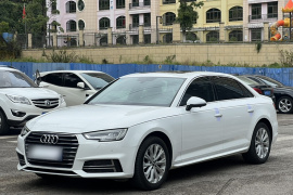 奥迪A4L 2019款 40 TFSI 进取型 国VI