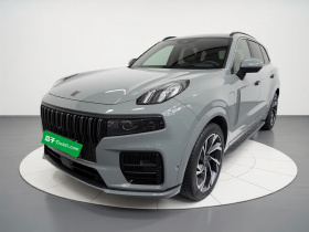 领克09 EM-P 2021款 2.0T PHEV Halo 七座