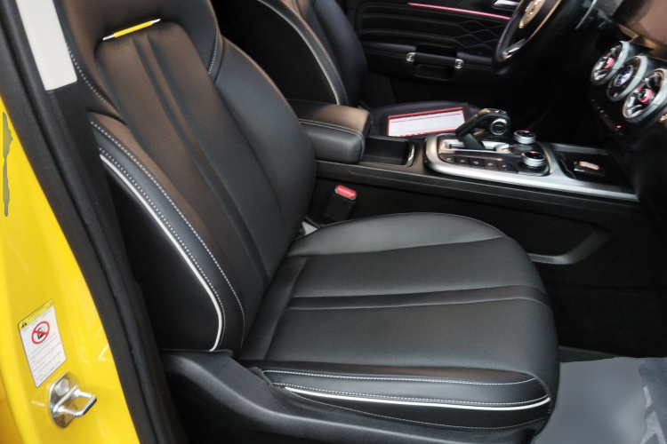 坦克300 2022款 2.0T 边境限定版局部细节41