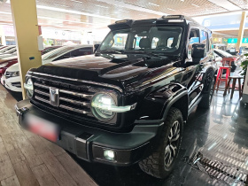 坦克300 2021款 城市版 2.0T 很有型