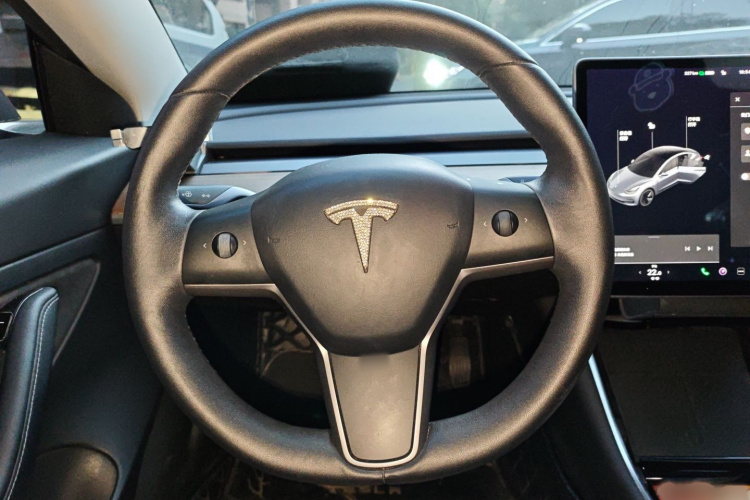 特斯拉 Model 3 2020款 标准续航后驱升级版局部细节13
