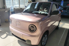 吉利银河 2023款 熊猫mini 200km 耐力熊