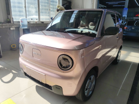 吉利银河 2023款 熊猫mini 200km 耐力熊