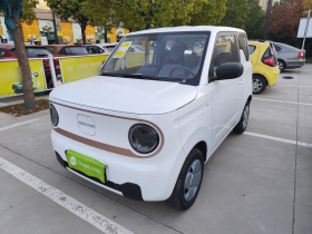 吉利银河 2024款 熊猫mini 200km 耐力熊