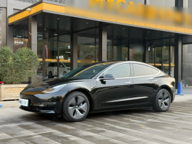 特斯拉 Model 3(进口) 2019款 长续航后驱版