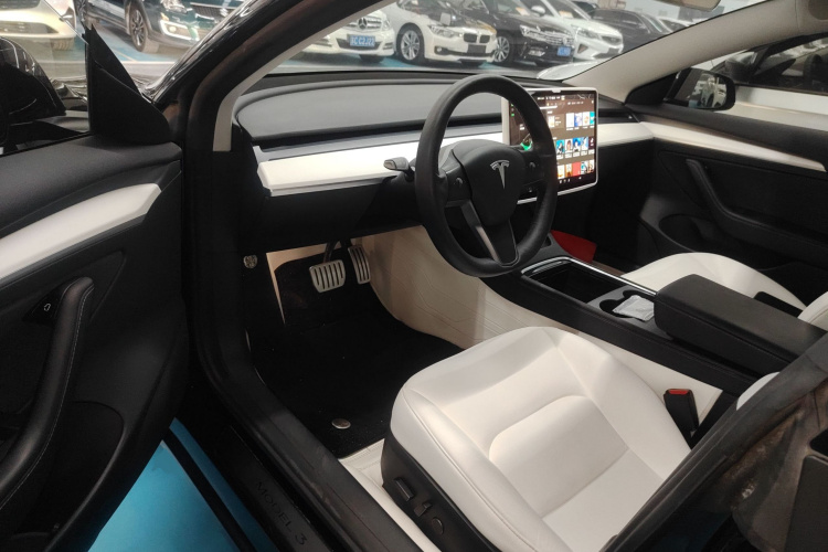 特斯拉 Model 3 2020款 Performance高性能全轮驱动版中控内饰20
