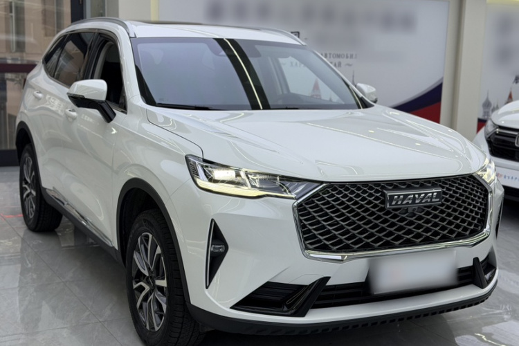 哈弗H6 2024款 1.5T 两驱经典版车身外观6002