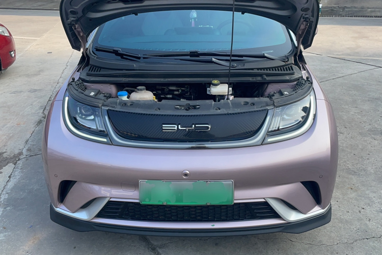 比亚迪 海豚 2023款 401km 骑士版机舱底盘24