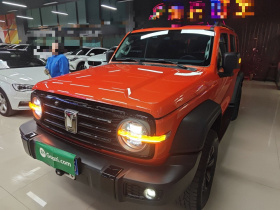 坦克300 2021款 越野版 2.0T 征服者