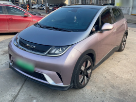 比亚迪 海豚 2023款 401km 骑士版