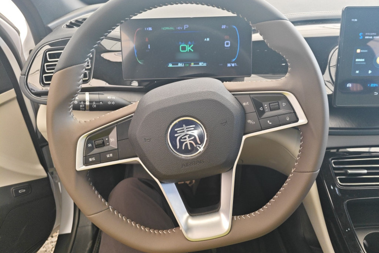 比亚迪 秦PLUS 2023款 冠军版 DM-i 55KM领先型局部细节13