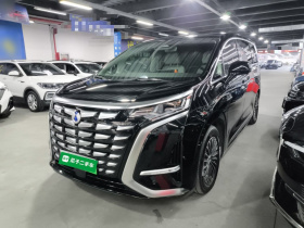 腾势D9 2024款 DM-i 1050 尊享型