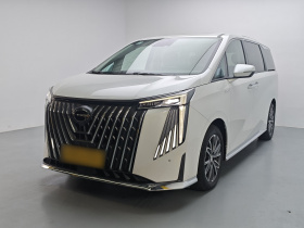 广汽传祺 传祺M8 2024款 大师系列 400T 尊贵版