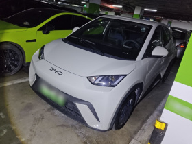 比亚迪 海鸥 2025款 305km 活力版