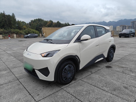 比亚迪 海鸥 2025款 305km 活力版