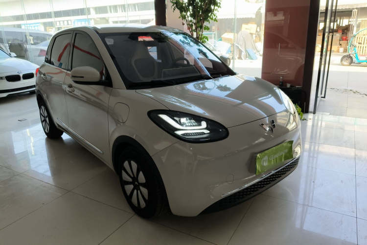 五菱汽车 五菱缤果 2023款 333km 灵犀互联款车身外观3