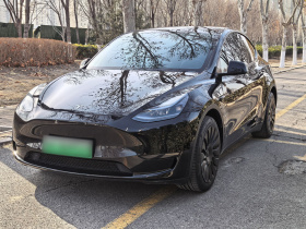 特斯拉 Model Y 2022款 后轮驱动版