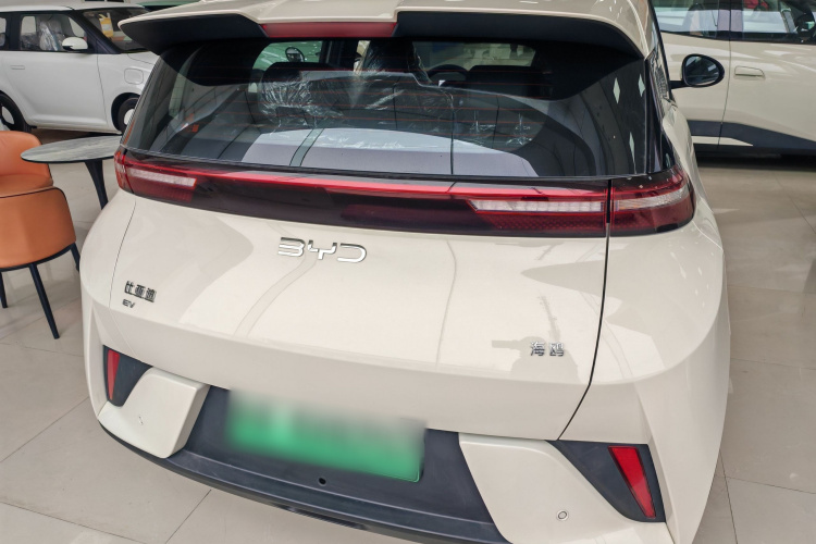 比亚迪 海鸥 2025款 智驾版 305km 活力版车身外观6005