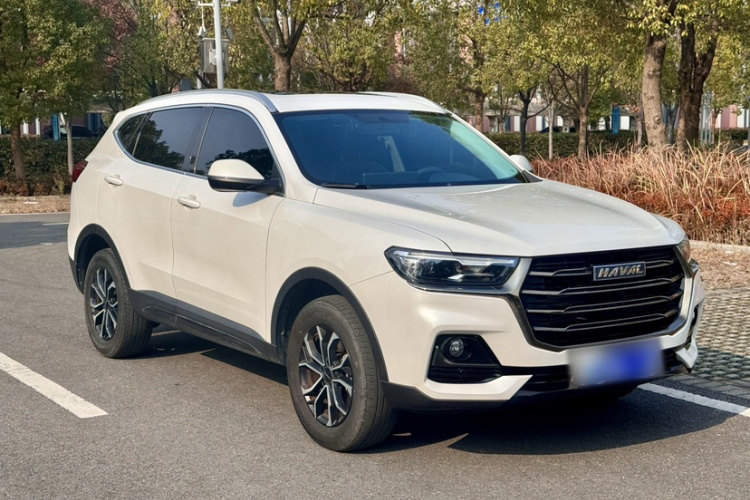 哈弗H6 2021款 国潮版 1.5T 自动都市版车身外观6009