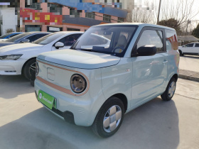 吉利银河 2024款 熊猫mini 200km 耐力熊