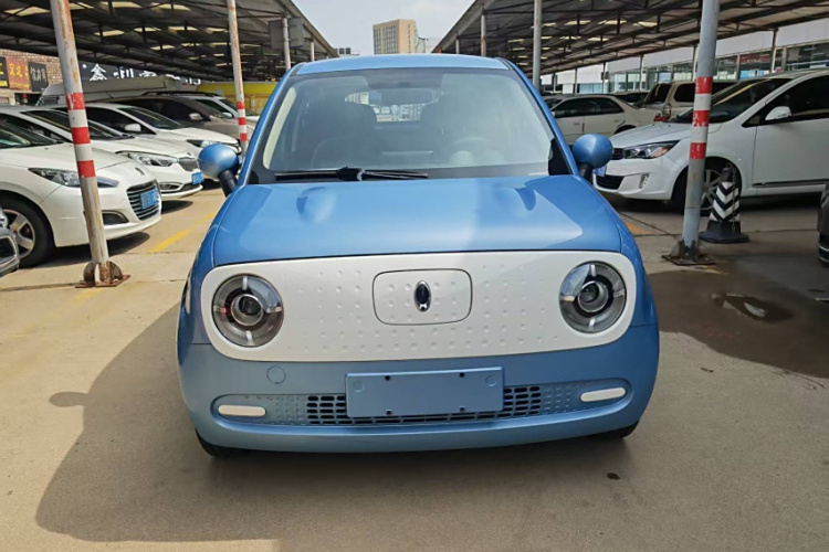 欧拉黑猫 2021款 301km 基础型车身外观6009