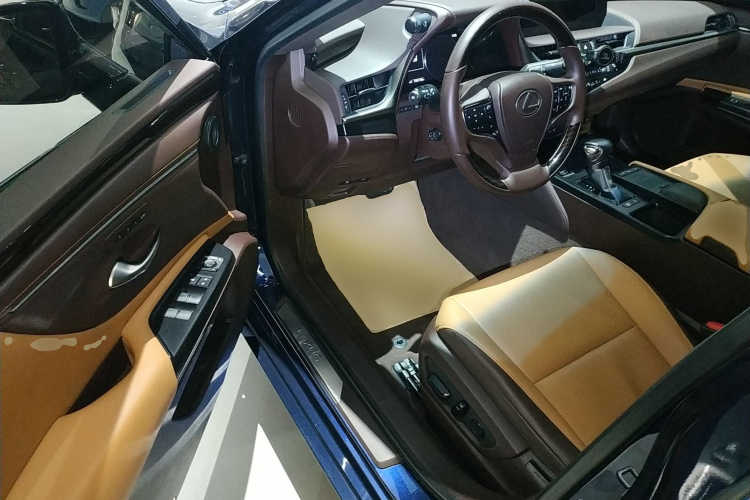 雷克萨斯ES 2020款 200 豪华版中控内饰20