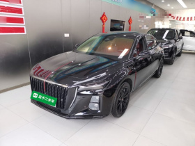 红旗H5 2025款 2.0T 自动玄影版