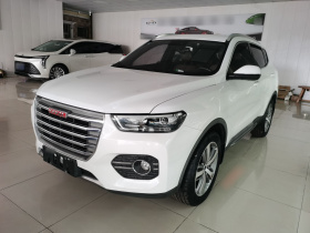 哈弗H6 2017款 红标 2.0T 自动两驱智尚型