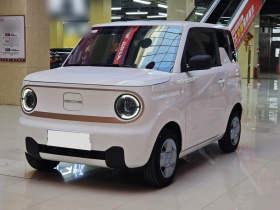 吉利银河 2024款 熊猫mini 200km 龙腾PRO版