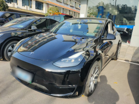 特斯拉 Model Y 2021款 标准续航后驱版
