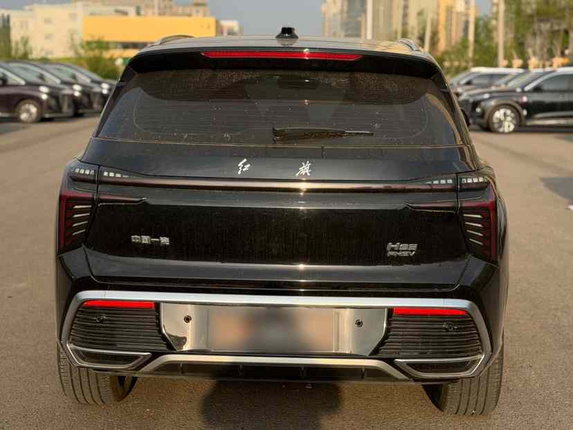 红旗HS3 PHEV 2024款 115km 劲为版(3)