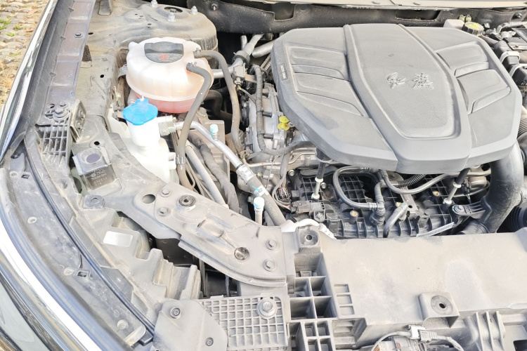 红旗HS5 2023款 2.0T 旗享Pro版局部细节9006