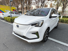 长安欧尚 奔奔E-Star 2020款 心动版 三元锂