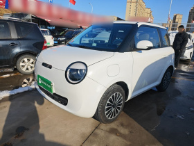 长安启源 长安Lumin 2024款 205km 橙风版