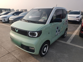 五菱汽车 宏光MINIEV 2021款 马卡龙时尚款 磷酸铁锂
