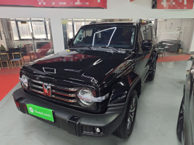 坦克300 2024款 2.0T 穿越者