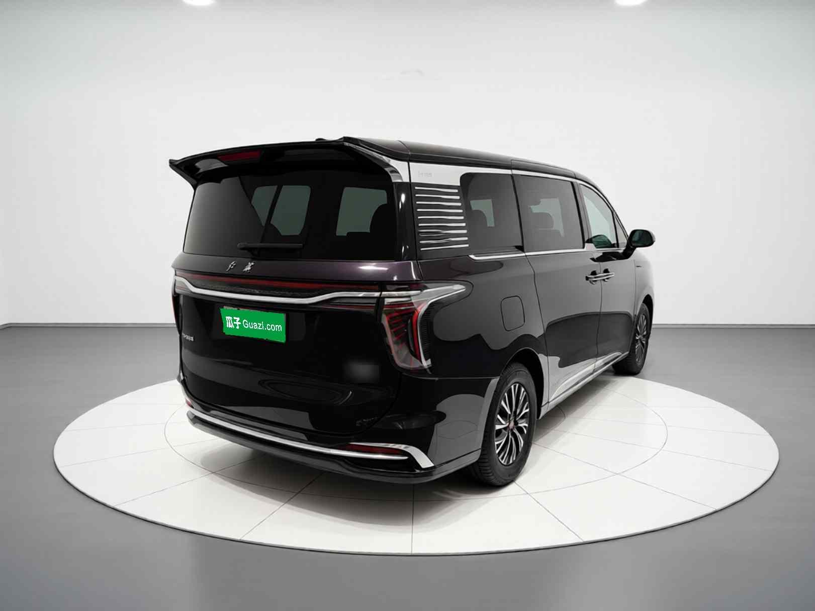 红旗HQ9 PHEV 2024款 2.0T 四驱商务版(5)