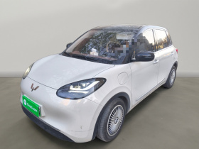 五菱汽车 五菱缤果 2024款 333km 悦享款