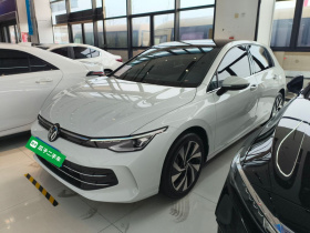 大众 高尔夫 2025款 300TSI Pro