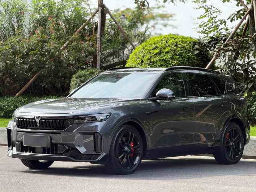 岚图汽车 岚图FREE 2025款 318 318km 后驱环游版(1)